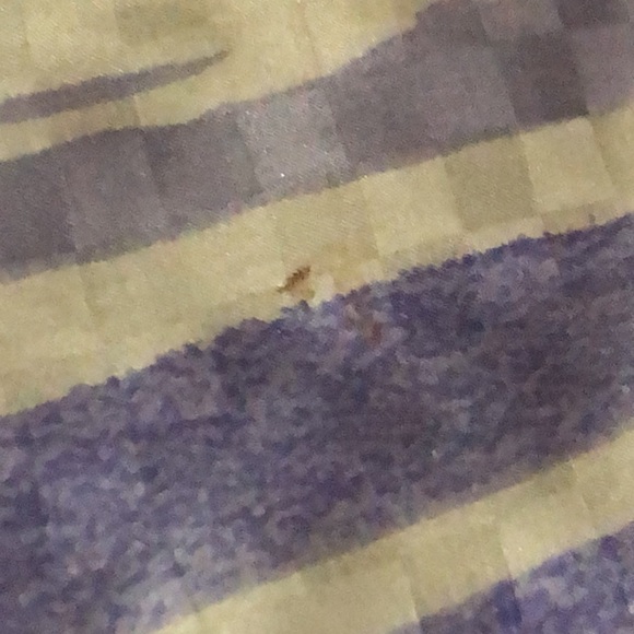 Vintage Vera Scarf-Silk-25x25 - Picture 15 of 17